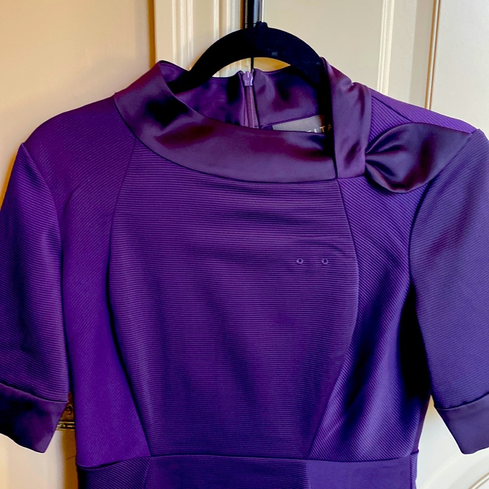 Delta eggplant uniform size 2